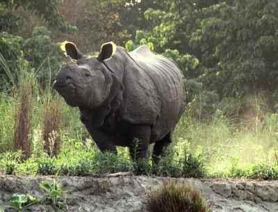 National parks of Nepal